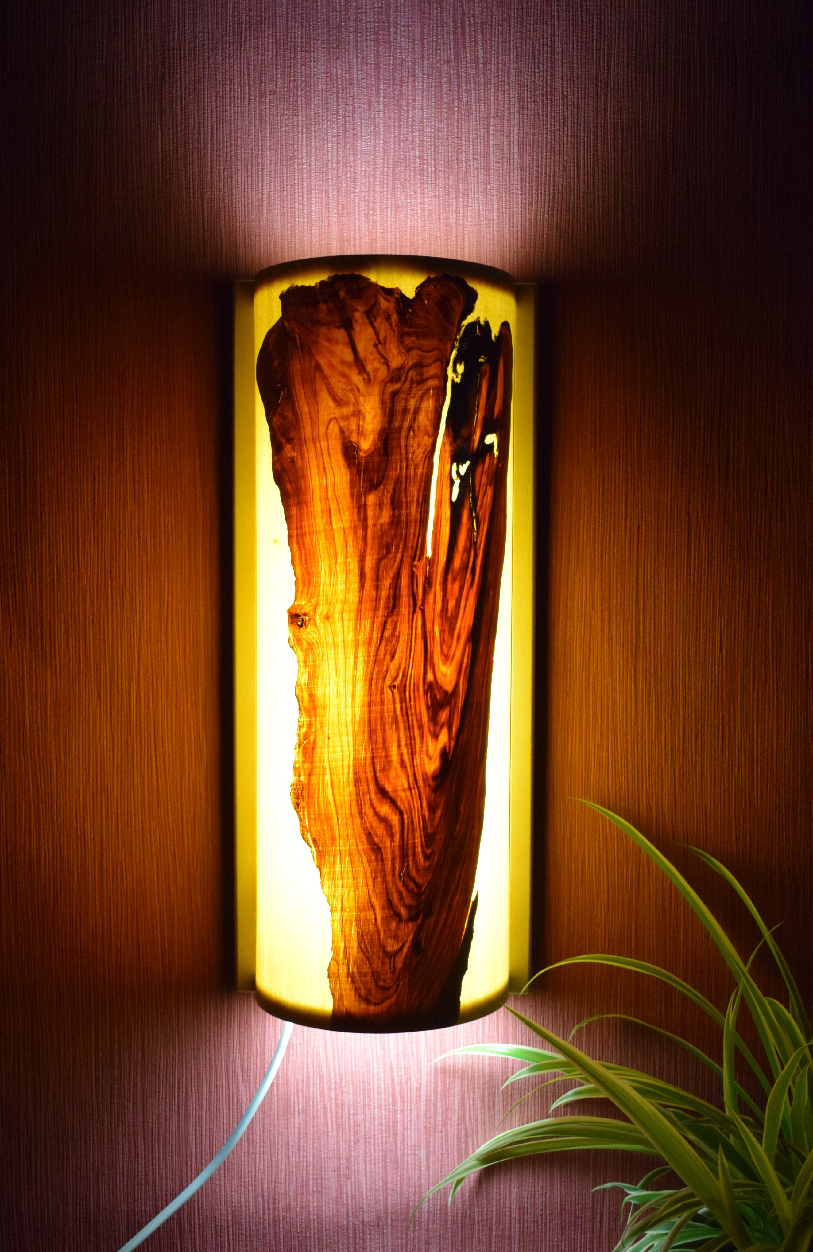 Designer Wandlampe mit Olivenholz Relief (Halbrund) 