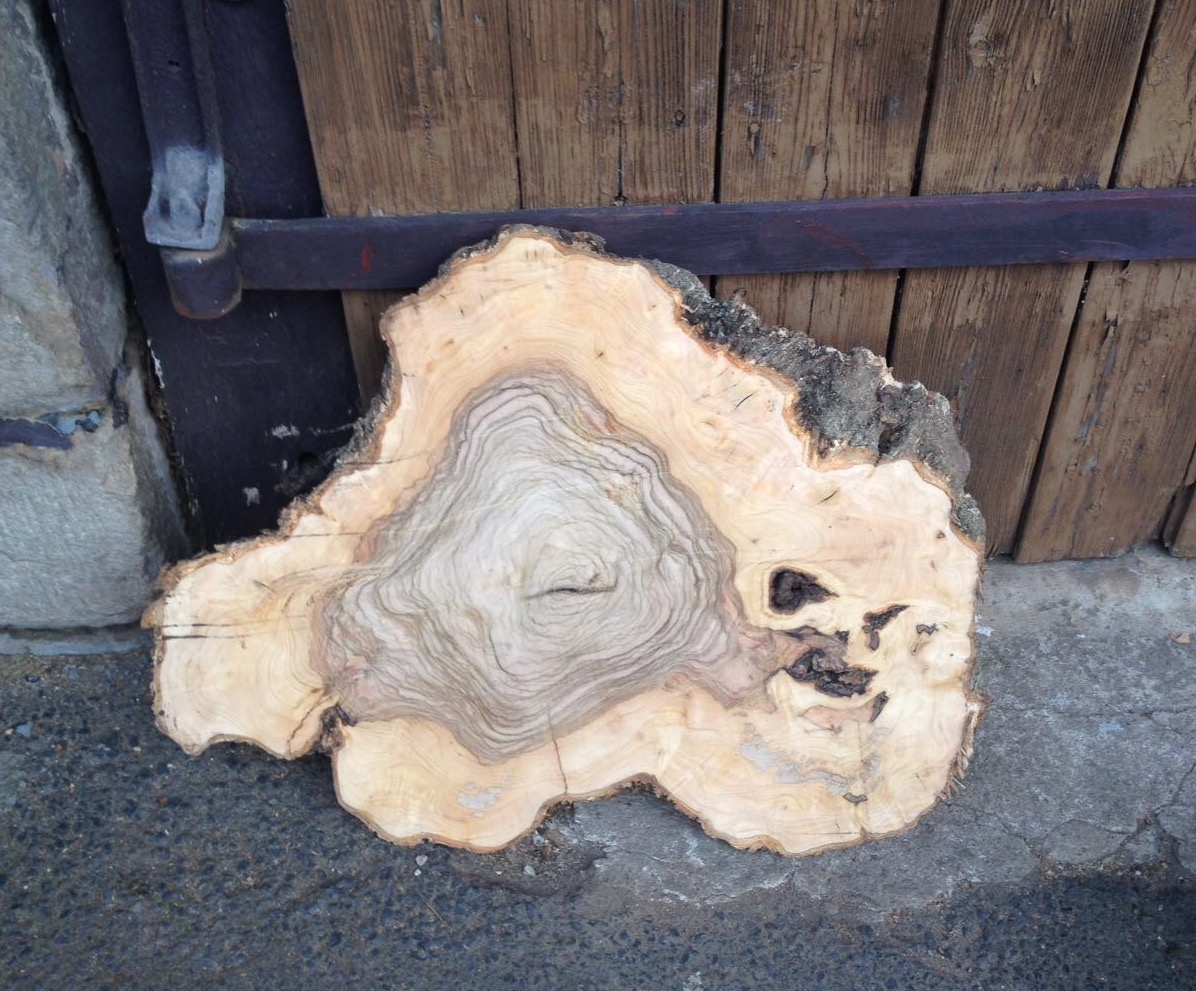 wann thuja düngen Thuja Dünger - Mineralischer NPK Flüssigdünger mit Stickstoff main image 0
